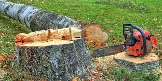 Best Emergency Tree Removal  in Garwood, NJ